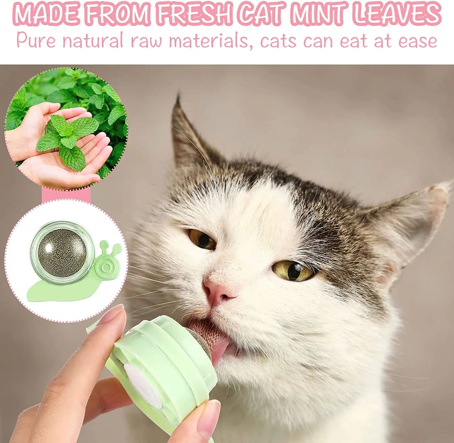 ATUBAN Catnip Wall Ball Cat Toys