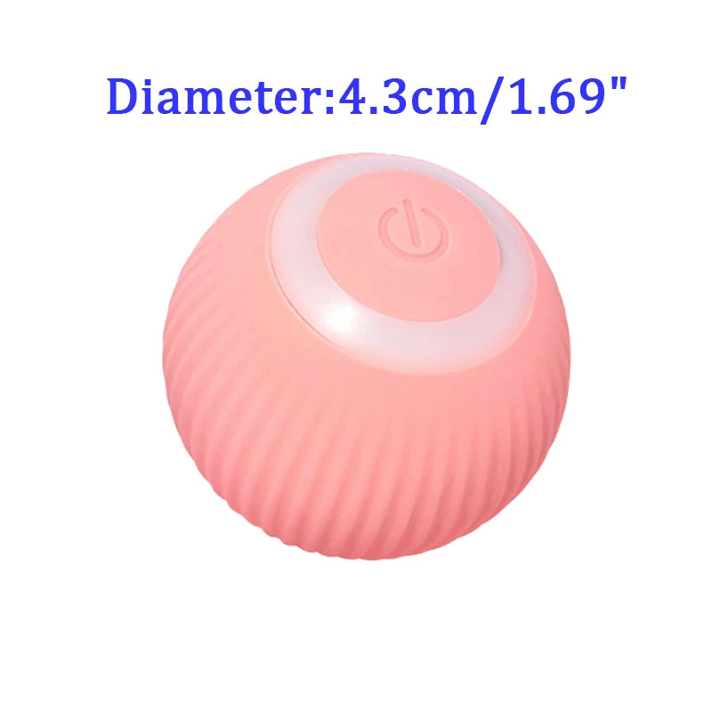 47916928205077|47916928237845